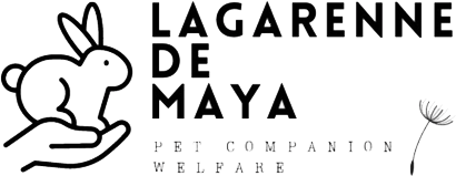 Lagaranne de maya