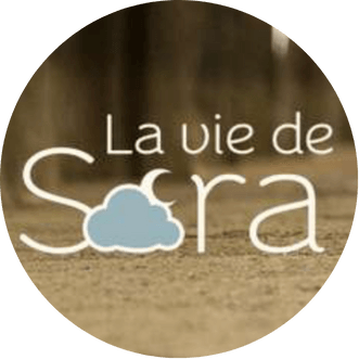 La vie de Sora