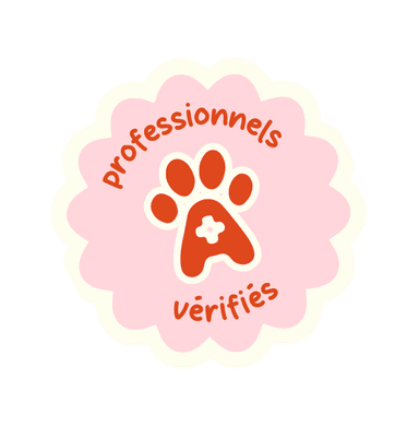 Nos professionnels certifiés