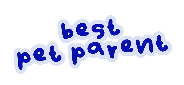 Best Pet Parent