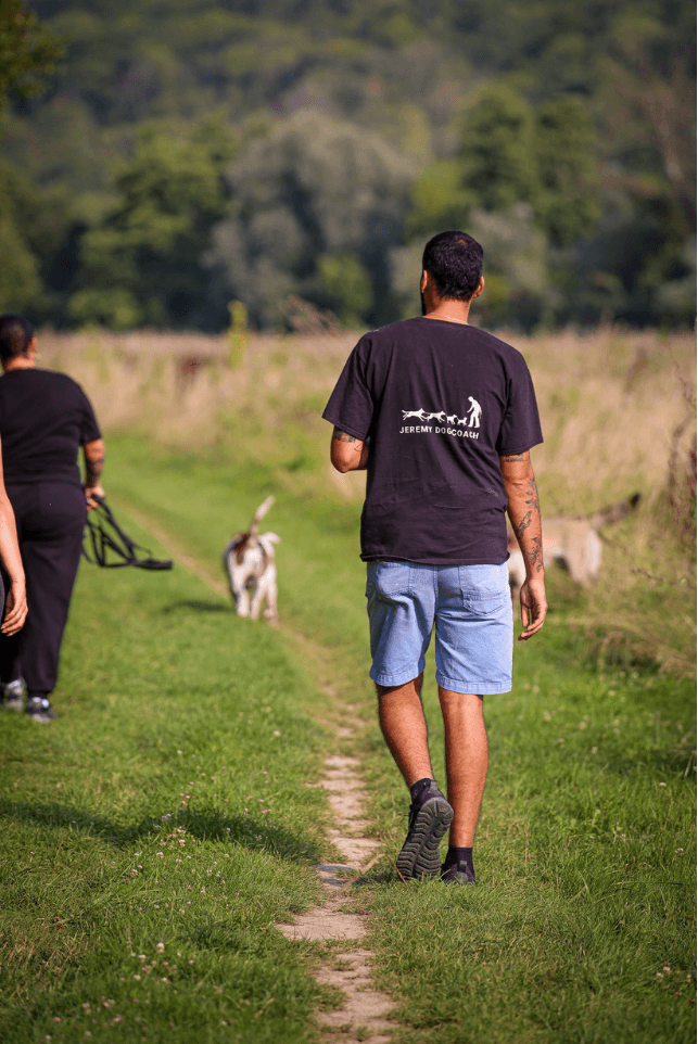Animeo_app_jeremy_dog-coach_educateur_canin_comportementaliste_Jeremy_Essadi-professionnel-paris-chiens
