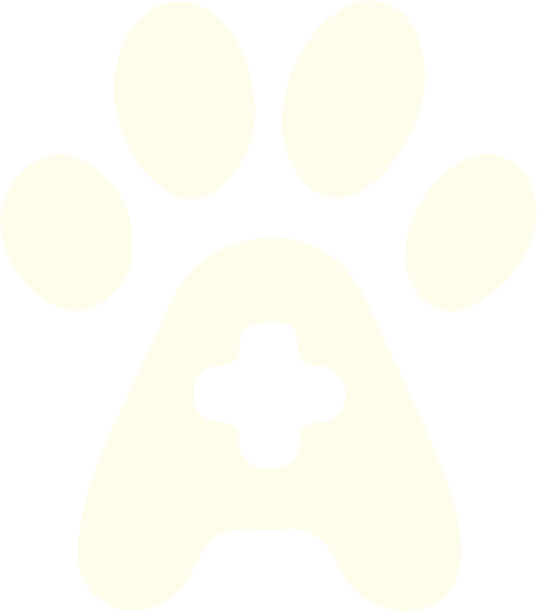 Chat illustration