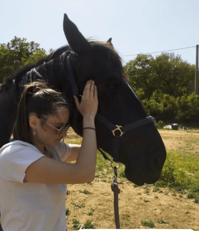 Animeo_app_riverdog_osteo_osteopathe_animalier_Sarah-professionnel-Marseille-chiens_chats_lapins_chevaux