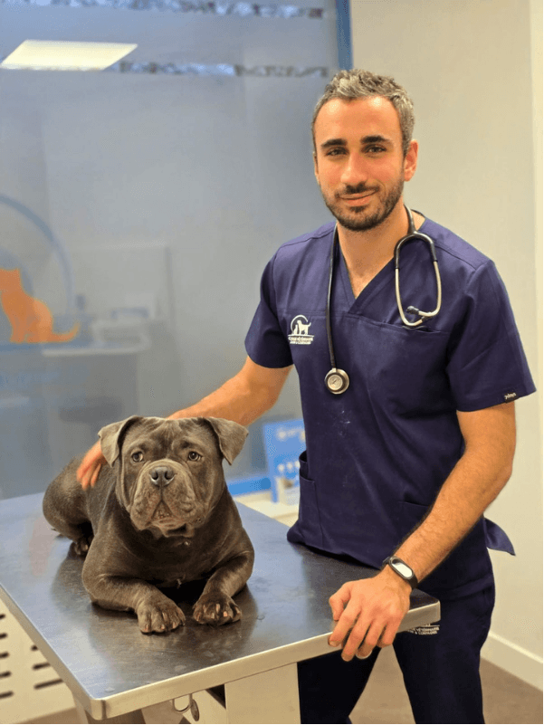 Animeo_app_dogtor.bryan_vétérinaire_bryan-éducateur_professionnel-paris-chiens